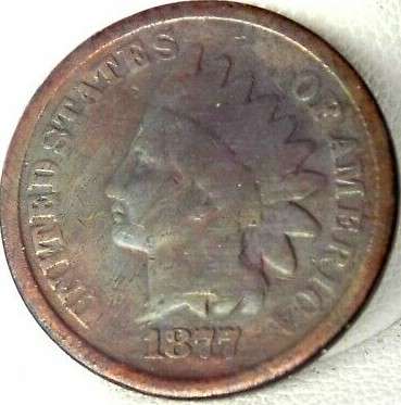 1877-Indian-Head-Cent-Bold-N-Reverse-Grade-Opinion