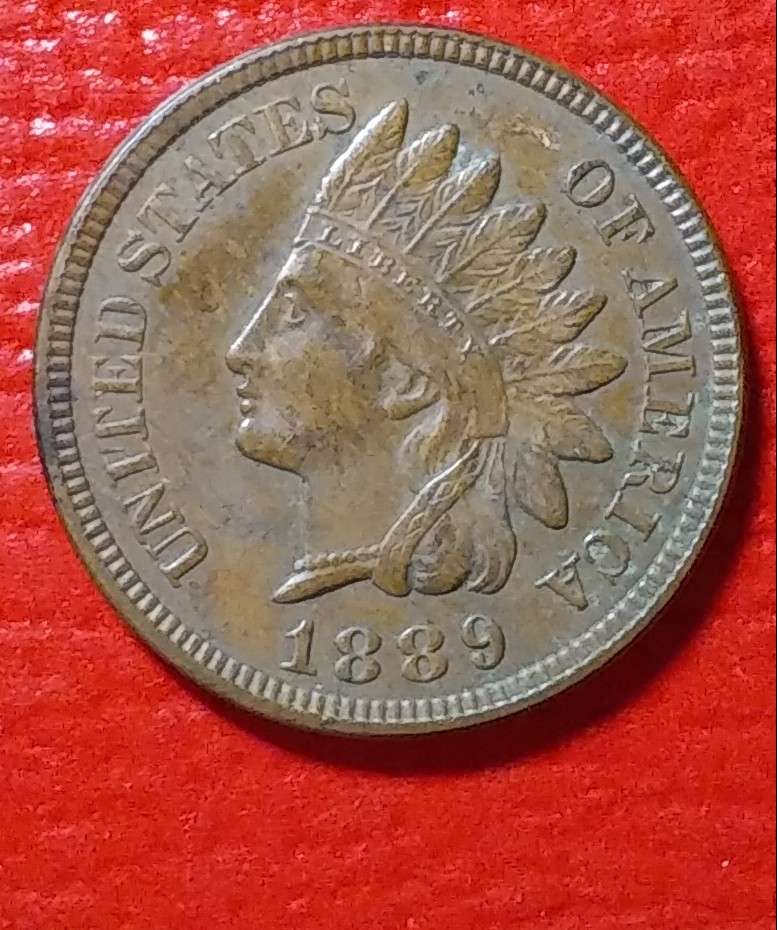 1889-Indian-Head-Cent-Raw---Grade