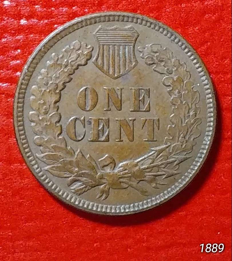 1889-Indian-Head-Cent-Raw---Grade