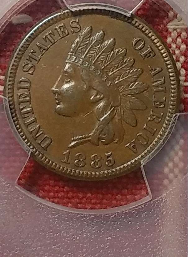Indian-Head-Cents-PCGS-Vs-Forum-1873-1884-And-85