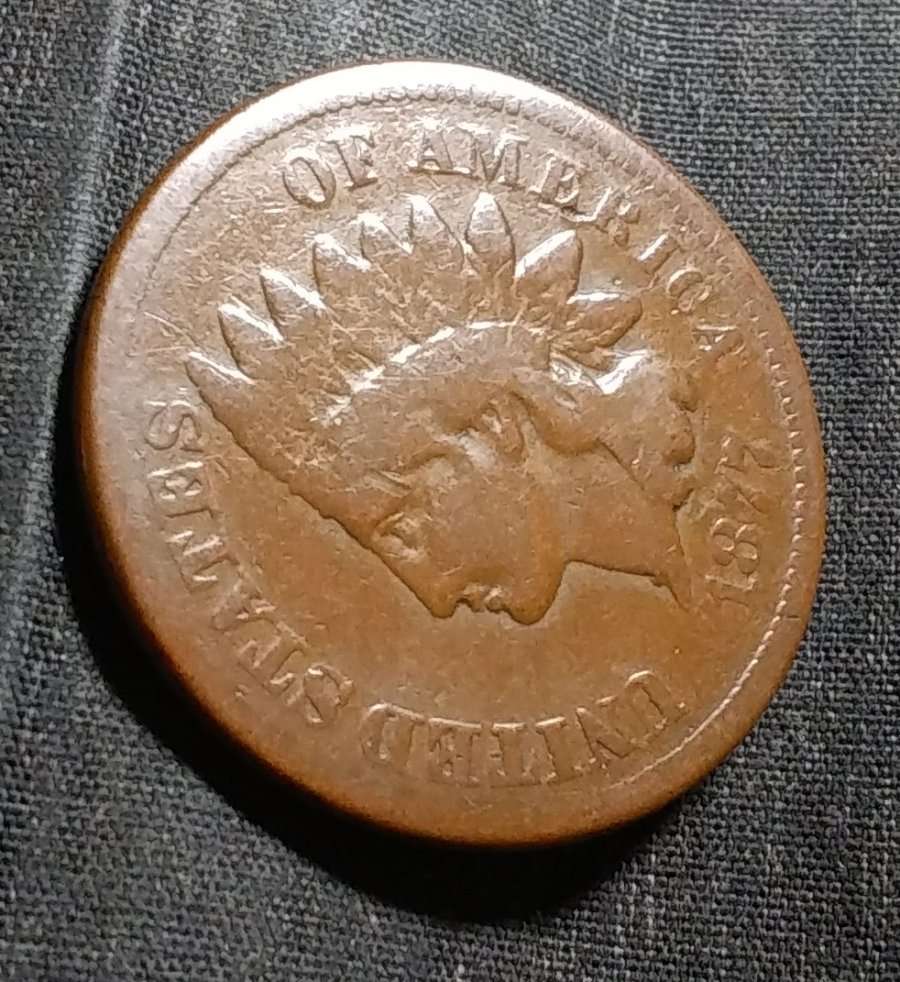 1877-Indian-Head-Cent-Raw-For-Grade