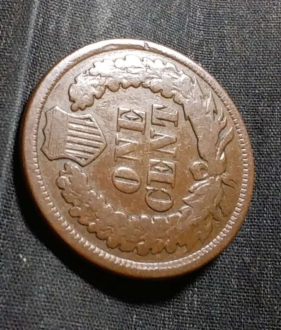 1877-Indian-Head-Cent-Raw-For-Grade