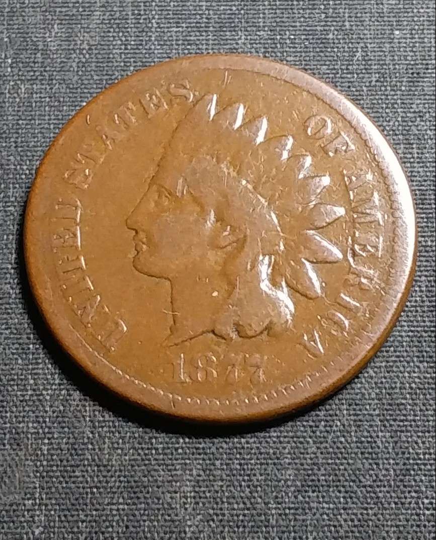 1877-Indian-Head-Cent-Raw-For-Grade