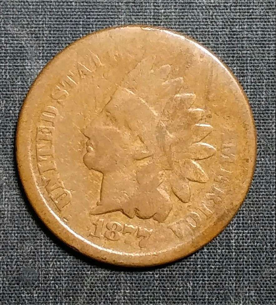 1877-Indian-Head-Cent-Raw-For-Grade