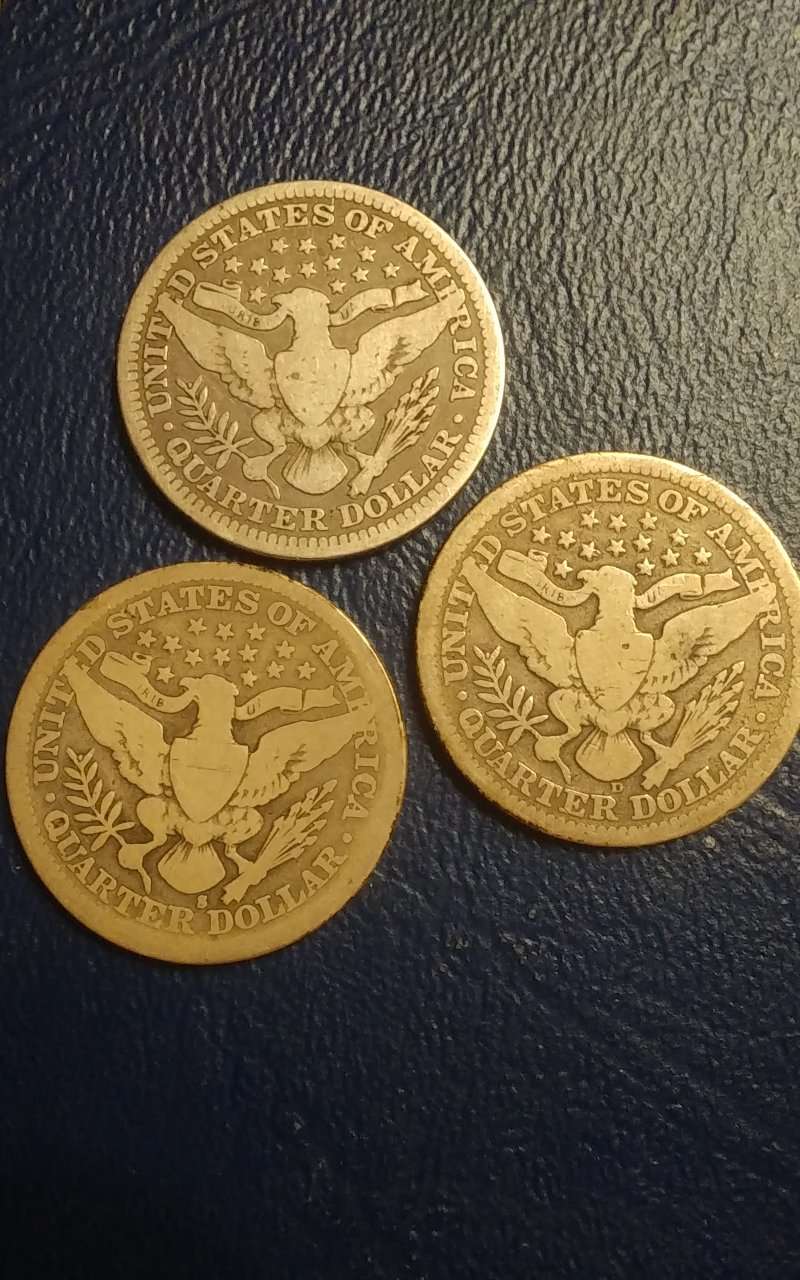 1893-S-Barber-Quarter-The-Hunt-For-Raw-PQ