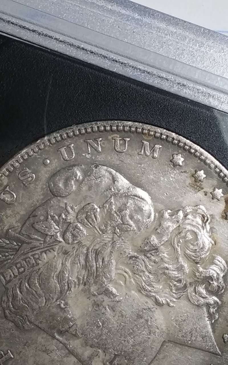1878-Morgan-Dollar-VAM-145-DDO-You-Vs-TPG