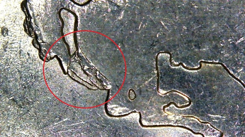 2007-WY-Poopie-Horse-Error