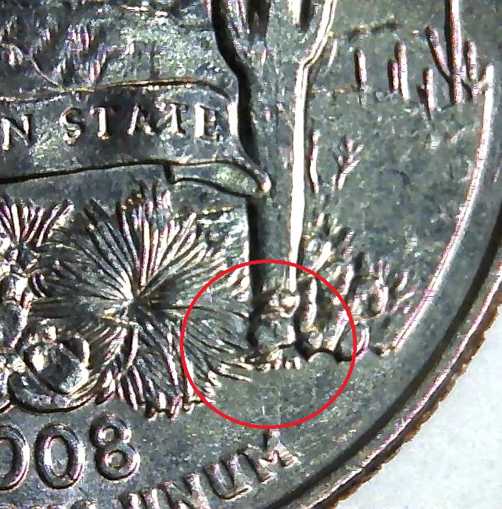 2008-D-AZ-State-Quarter-Extra-Cactus-Leaf.