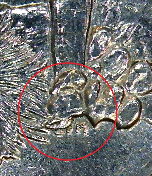 2008-D-AZ-State-Quarter-Extra-Cactus-Leaf.