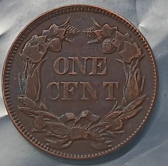 Need-Some-Info-On-This-1856-Flying-Eagle-Coin?-Is-It-Fake-Or-Worth-Anything?