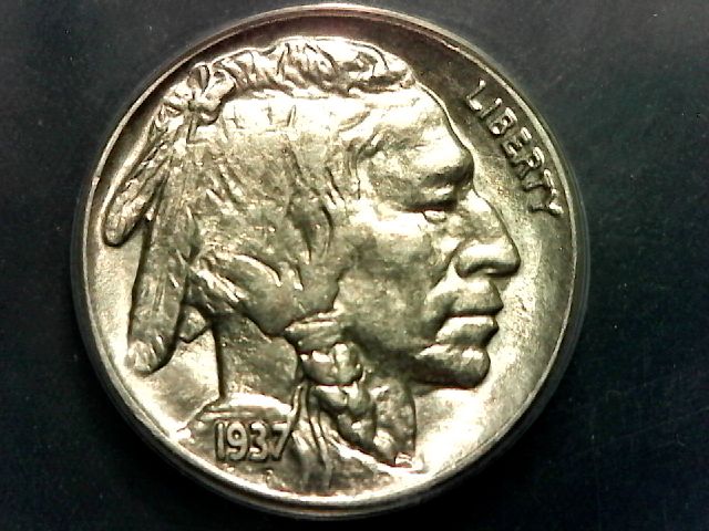 1915-D-Buffalo....opinions,-Did-ANACS-Get-This-Right?