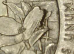 2015-Blue-Ridge-Parkway-Quarter-Error