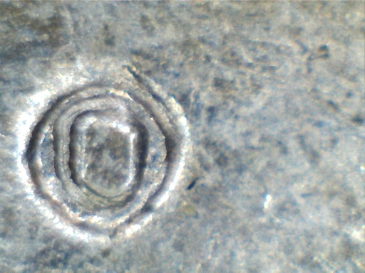 1962-Nickel-Doubled-Building?