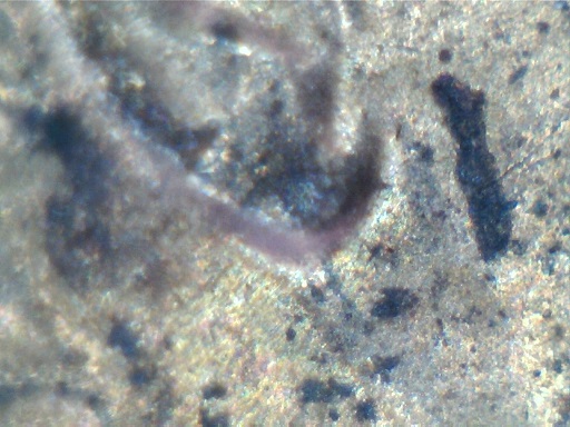 1989-LMC-Die-Chip-Or-Part-Of-Ear?