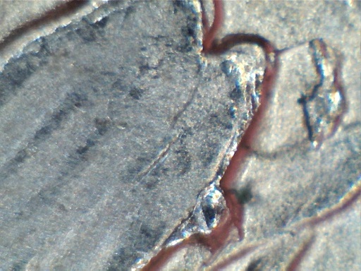 2015-Blue-Ridge-Parkway-Quarter-Errors