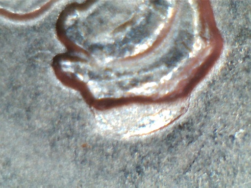 2015-P-Kisatchie-Quarter-2-Die-Cracks