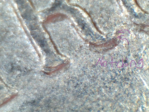 1999-P-Nickel-Tdo-And-DDR