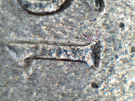 1999-P-Nickel-Tdo-And-DDR