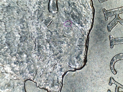 2005-P-Bison-Nickel-Doubled-Eye?
