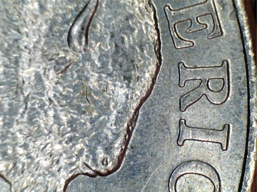 2005-P-Bison-Nickel-Doubled-Eye?