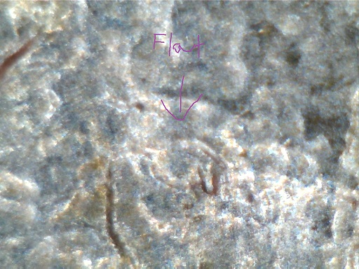 2005-P-Bison-Nickel-Doubled-Eye?