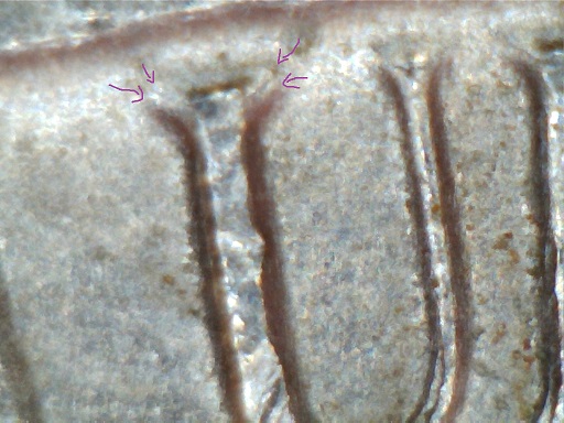 1980-P-DDR-Nickel