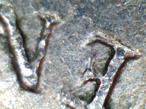 1979-DDO-And-DDR-Nickel