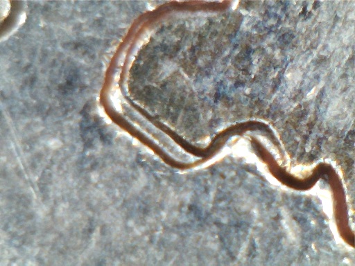 2007-P-WY-25c-WDDR-017