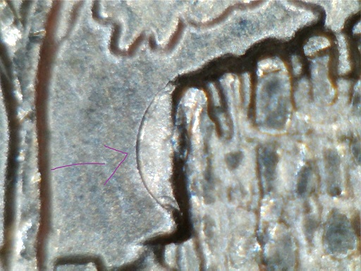 2011-P-Chickasaw-25c-Die-Clash