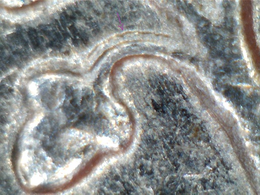 1998-P-DDR-Dime?