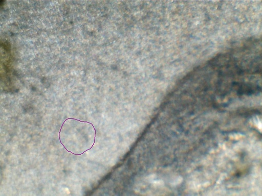 2012-P--25c-AK-WDDR-001