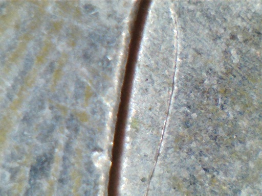 2008-P-Oklahoma-Quarter-Observation