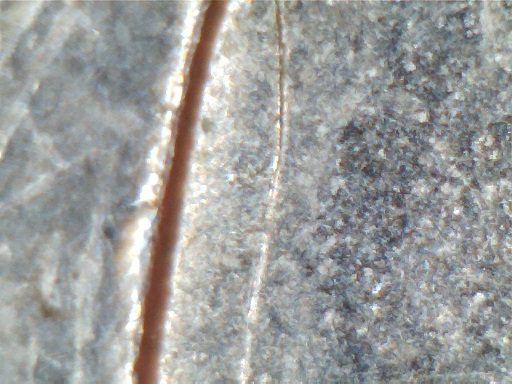 2008-P-Oklahoma-Quarter-Observation