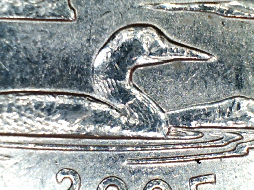 2005-P-Minnesota-Quarter-Crying-Duck