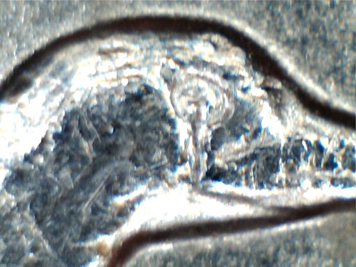 2005-P-Minnesota-Quarter-Crying-Duck