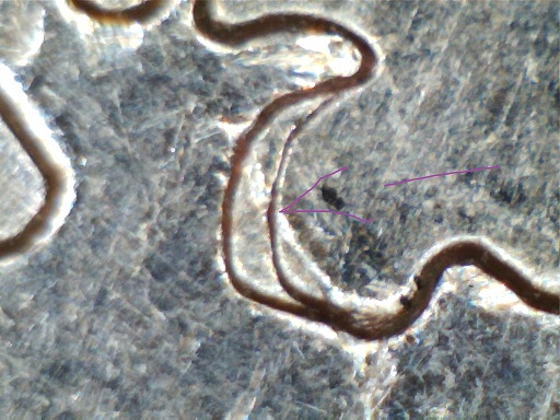 2007-P-WY-25c-WDDR-036