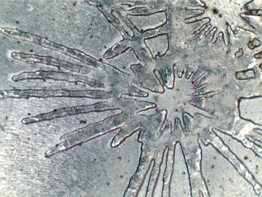 2013-P-Maryland-Quarter-DDR-Discovery-Coin