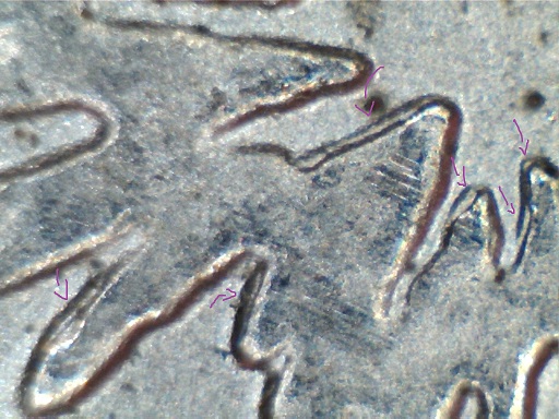 2013-P-Maryland-Quarter-DDR-Discovery-Coin