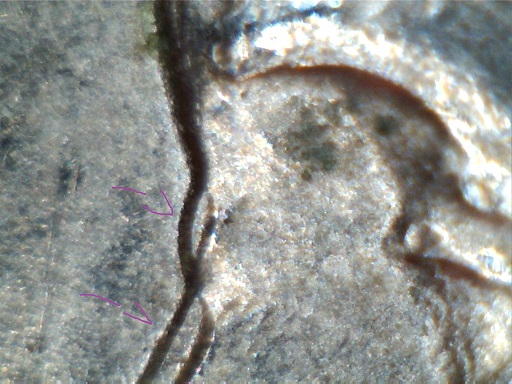 1974-D-DDO-Quarter-Discovery-Coin