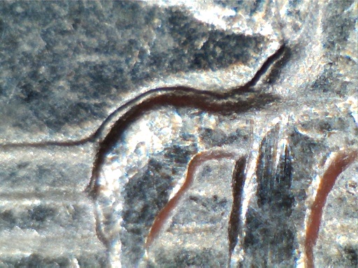 1994-P-Quarter-DDR-Discovery-Coin