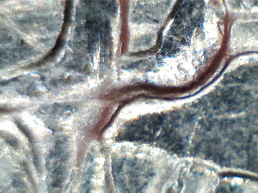 1994-P-Quarter-DDR-Discovery-Coin