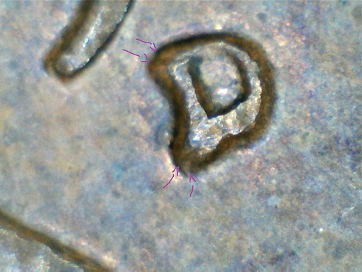1960-D-Large-Date-LMC-RPM