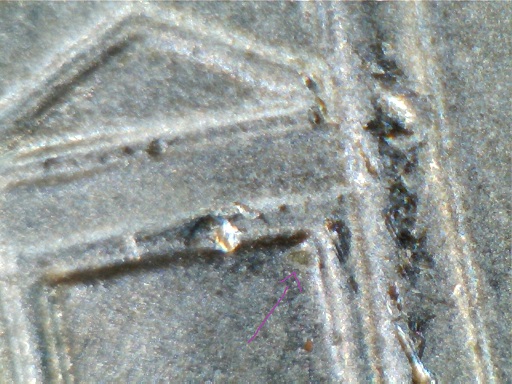 2014-P-DDR-Nickel-Possibly-New