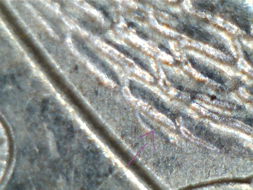 2012-P-NM-Quarter-New-Discovery-DDR