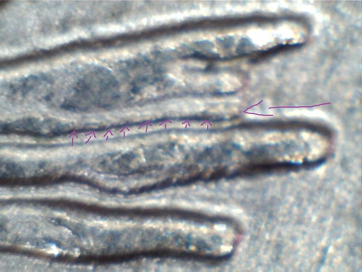 Possible-2013-P-Maryland-Quarter-Discovery-DDR