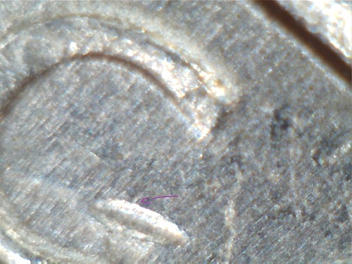 Possible-2013-P-Maryland-Quarter-Discovery-DDR