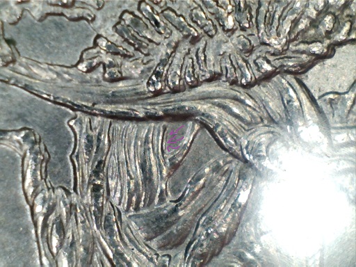 2013-P-Nevada-Great-Basin-Quarter-Discovery-DDR