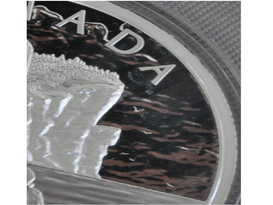 Milk-Spots-On-RCM-Collector-Coins