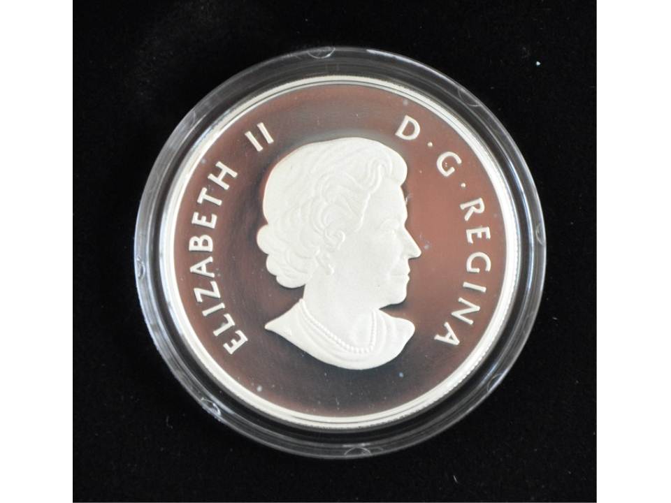 Milk-Spots-On-RCM-Collector-Coins