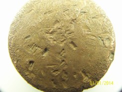 Need-Help-To-Identify-This-One-Please.